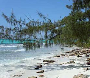 Crooked Island Crooked Island