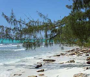 Crooked Island, Bahamas