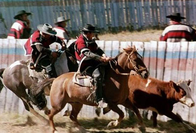 Dieciocho Festival, Chile