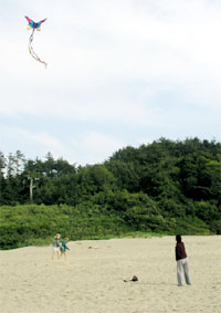 Kite Flying