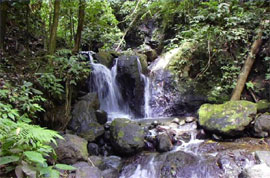 Costa Rica National Parks