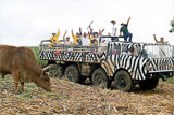 Monster Jeep Safari Monster Jeep Safari