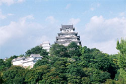Japanese Temples and Castles