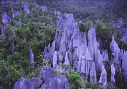 Gunung Mulu National Park, Malaysia