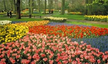Park Netherlands
