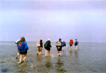 Wadden Islands Wadden Islands