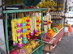 Singapore Market