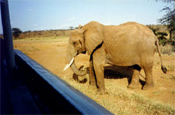 National Reserve in South Africa 