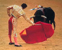 Spanish matador