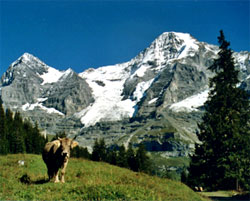 Stunning Views of Switzerland