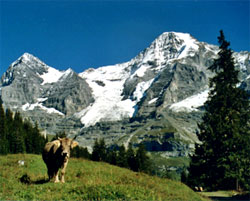 Stunning Views of Switzerland Stunning Views of Switzerland